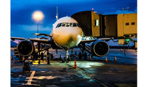 NEW - Introduction Aviation Ground Handling Operations  + 2-hour GDS Demo Included
