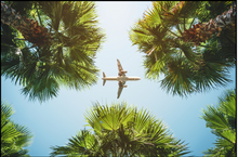 Introduction to Travel and Aviation + 2-hour GDS Demo Included - £47.00