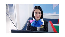 NEW - Introduction Aviation Ground Handling Operations  + 2-hour GDS Demo Included