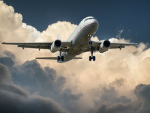 NEW - Airline Fares, Ticketing & Airport Customer Services - Intermediate Level