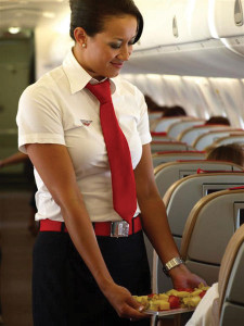 Airline Cabin Crew Distance Learning Home Study Course